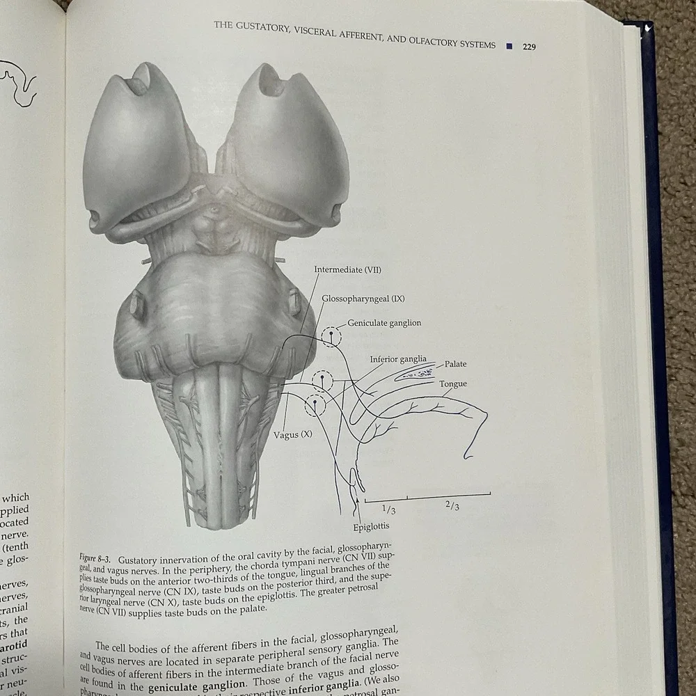 Neuroanatomy‎ Atlas John H. Martin Text And Atlas Second Edition